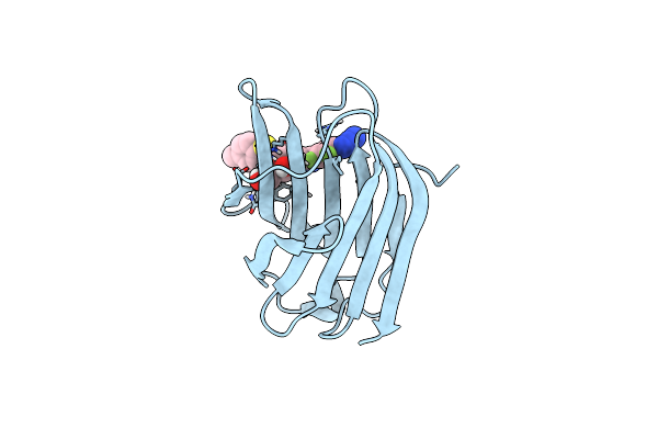 6I76 image