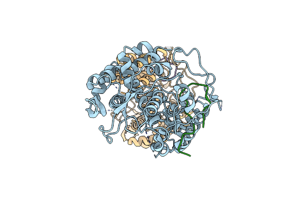 6I7B image