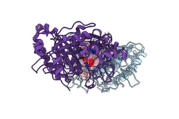 6I7C image