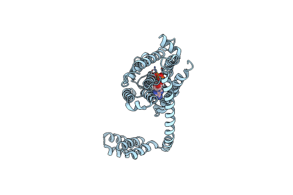 6I7L image