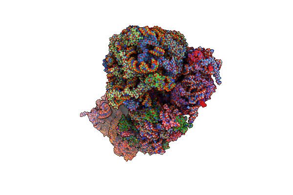 6I7O image