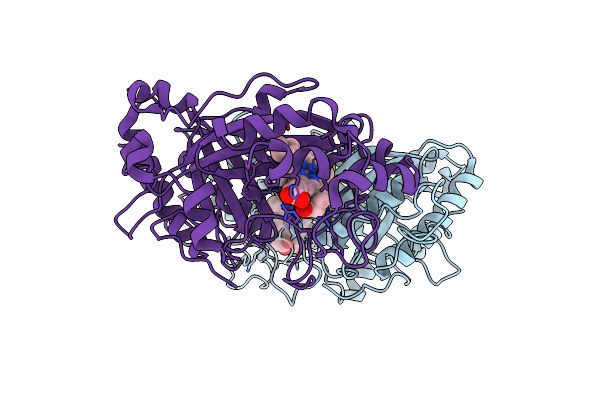 6I7Z image