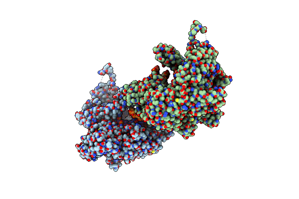6I8A image