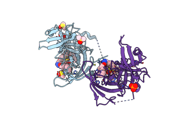 6I8B image