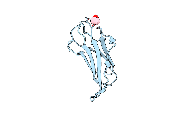 6I8C image