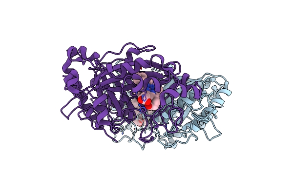 6I8E image