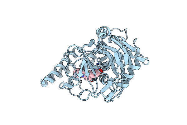 6I8M image