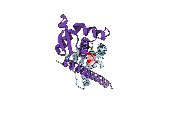 6I8N image