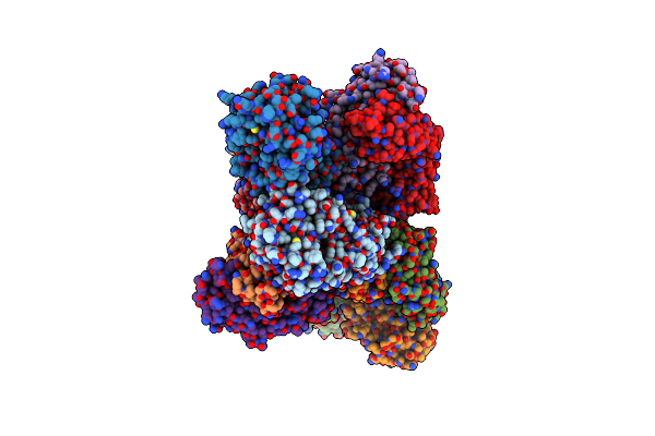 6I8S image