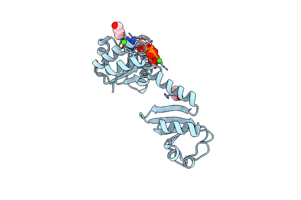 6I8V image