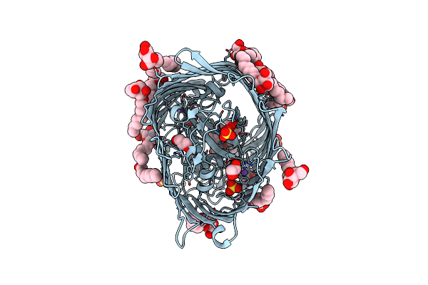 6I96 image