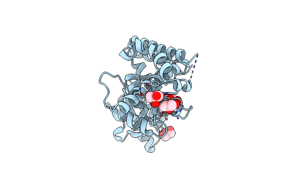 6I9C image