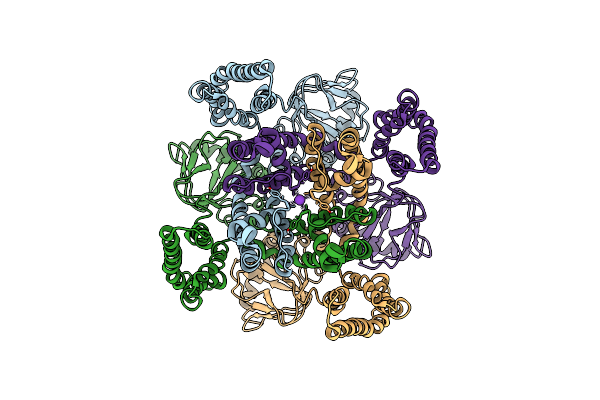 6I9D image