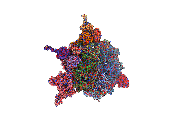 6I9E image