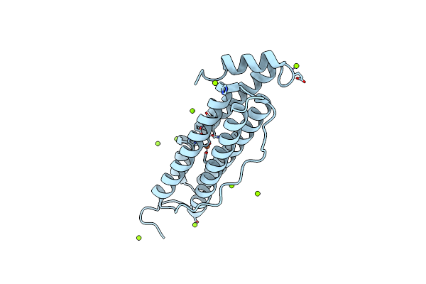 6I9T image