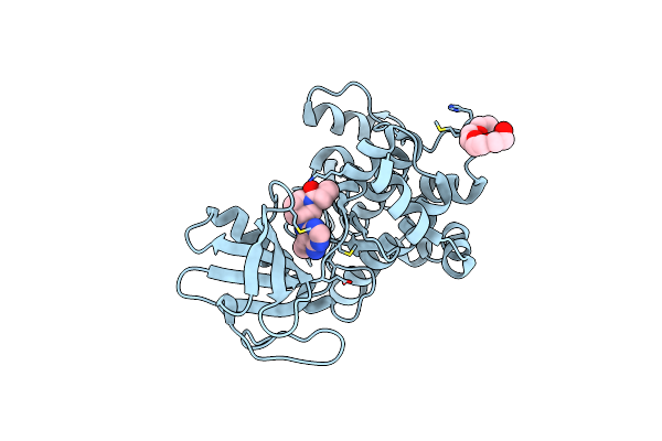 6IB0 image