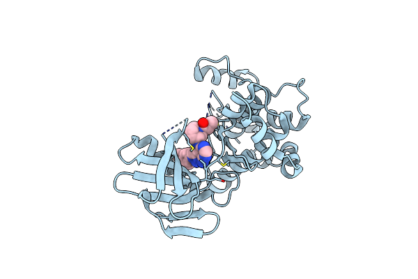 6IB2 image
