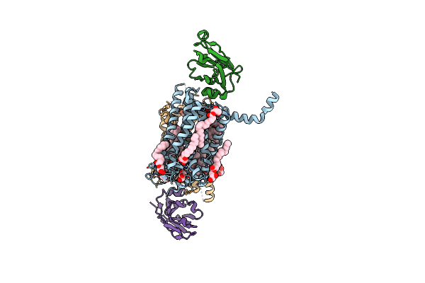 6IBB image