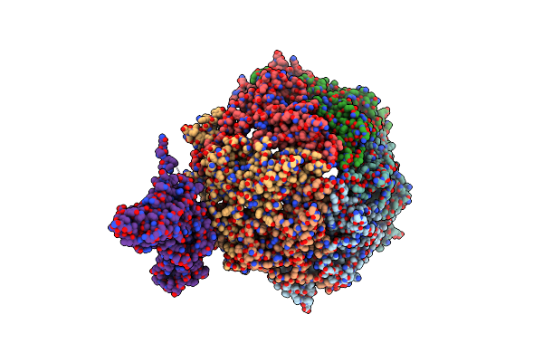 6IBC image