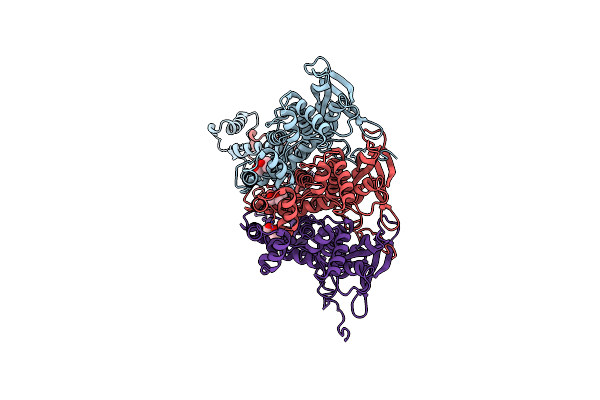 6IBG image