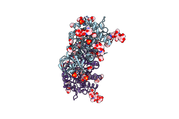 6IBM image