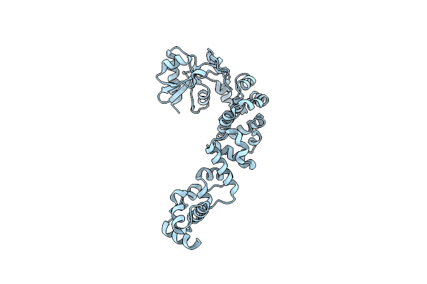 6IBP image