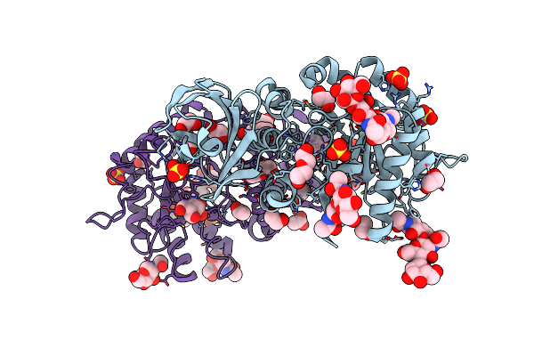 6IBR image