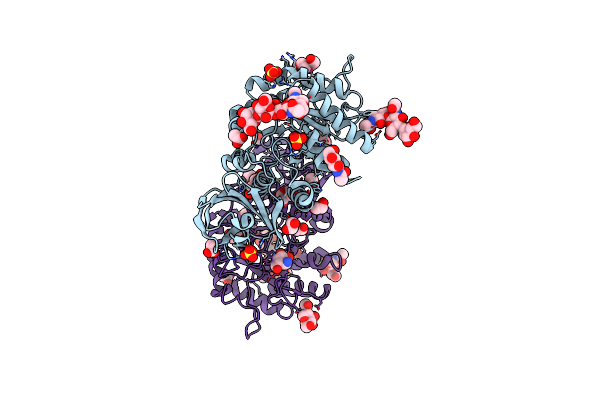 6IBT image