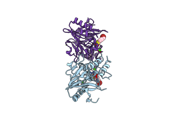 6IBV image