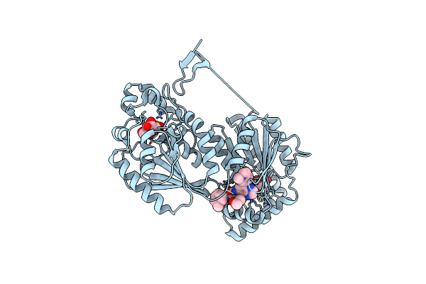 6IBX image