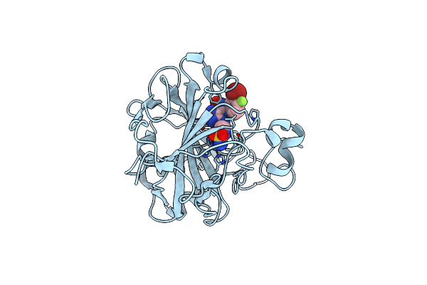6IC2 image