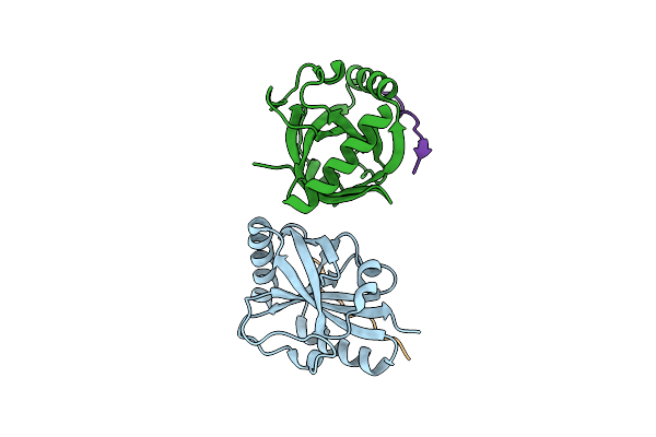 6IC8 image