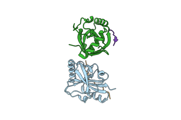 6IC9 image