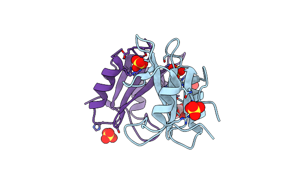 6ICG image