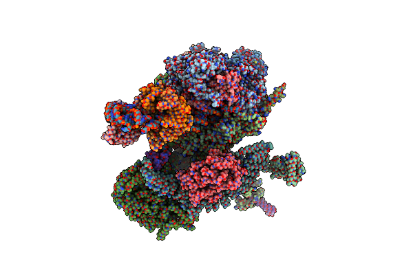 6ID1 image