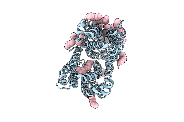 6IDP image