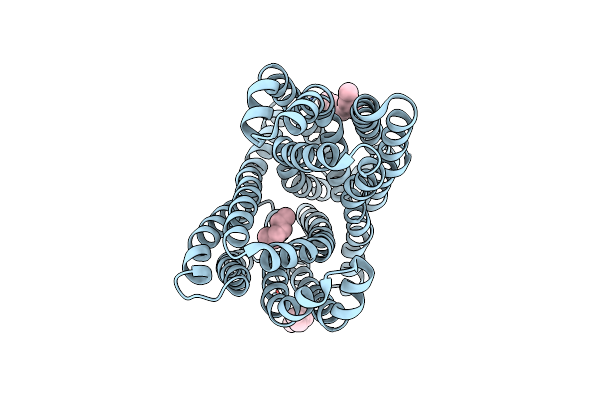 6IDS image