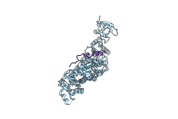 6IDX image