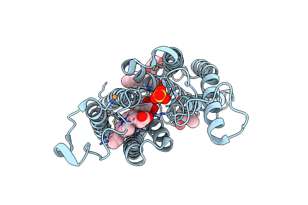 6IED image