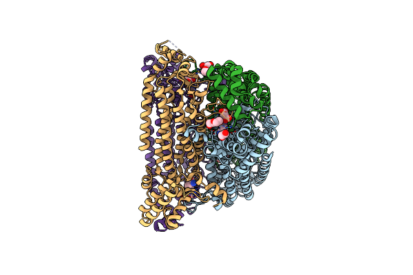 6IEN image