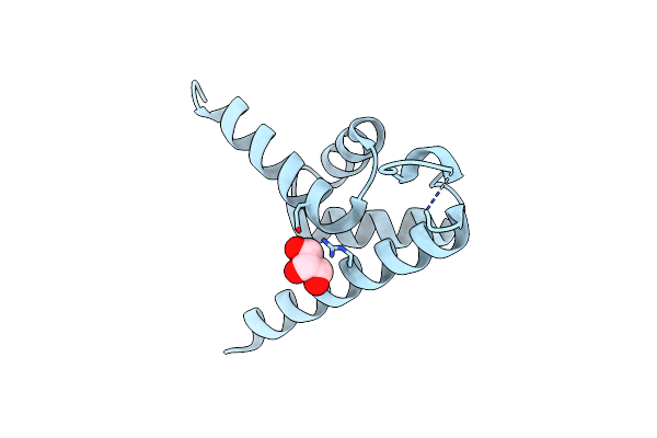 6IEW image