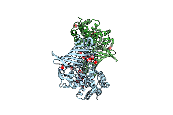 6IFG image