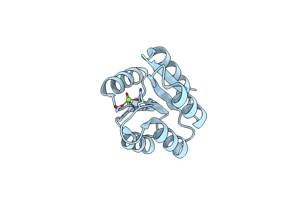 6IFH image