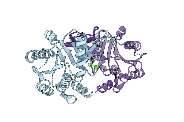 6IFI image