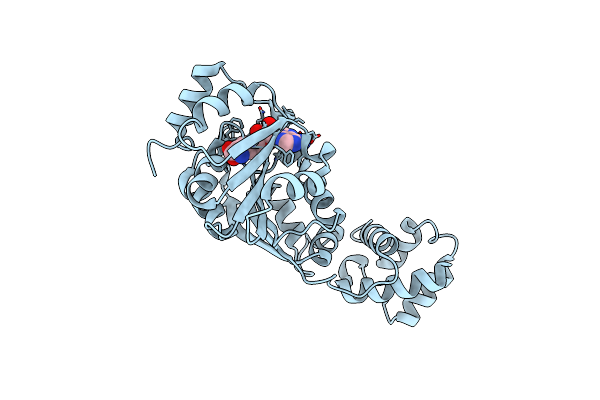 6IFT image
