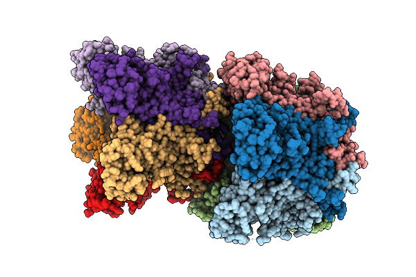 6IGF image