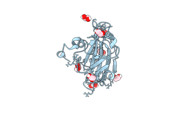 6IGG image