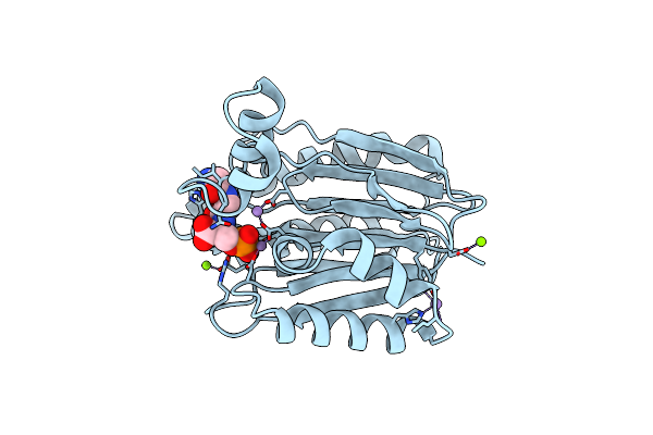 6IHT image