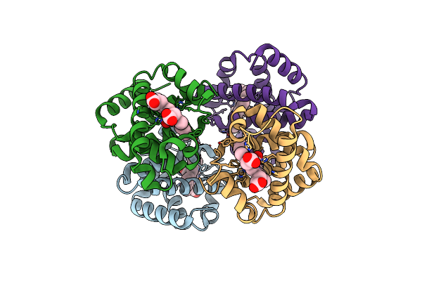 6IHX image