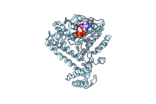 6III image
